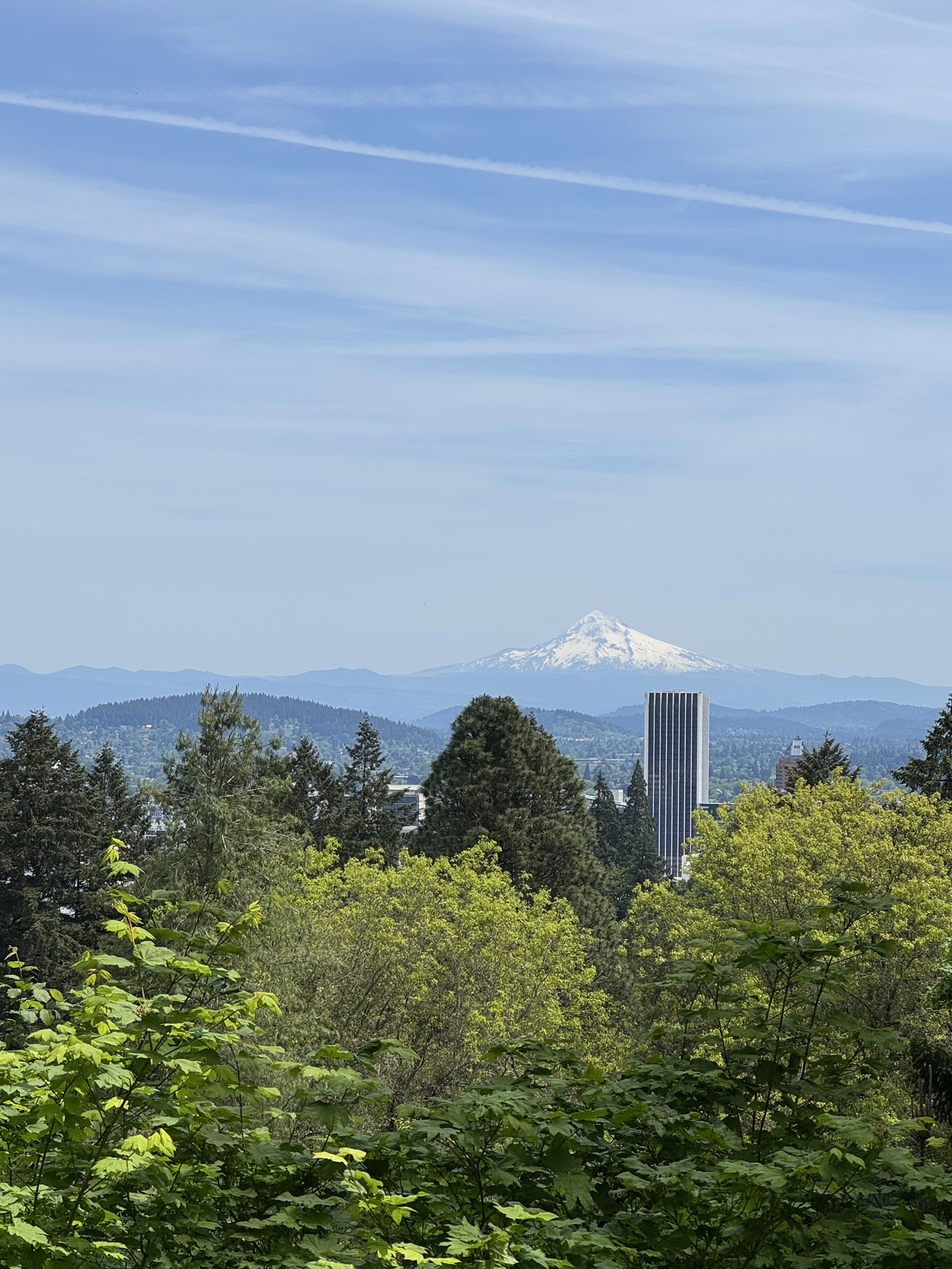 A view of Mount Hood from the Portland hills